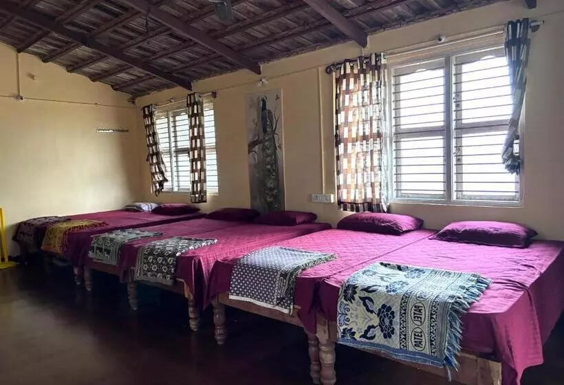 Hotelli Ivory Daze Jungle Adventure Homestay
