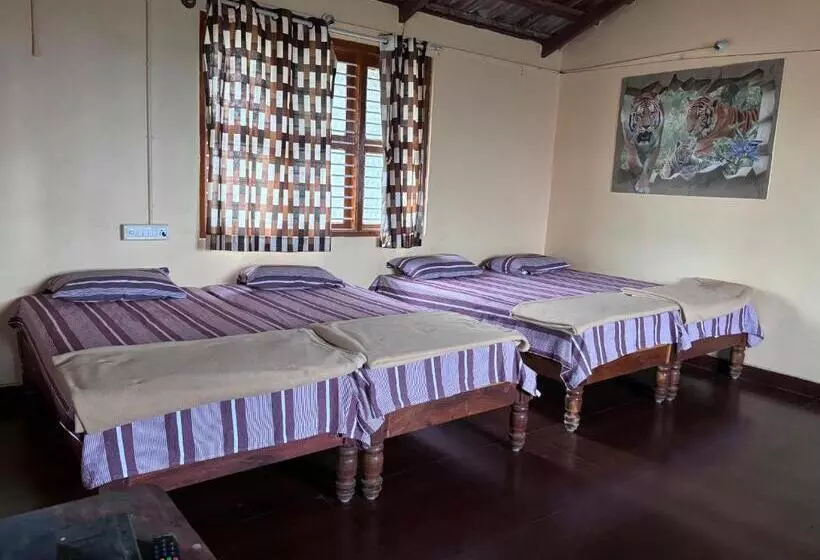Hotelli Ivory Daze Jungle Adventure Homestay