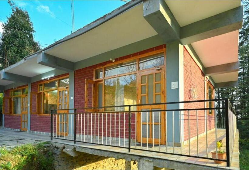 Hotel Saraj Valley Homestay Cheog