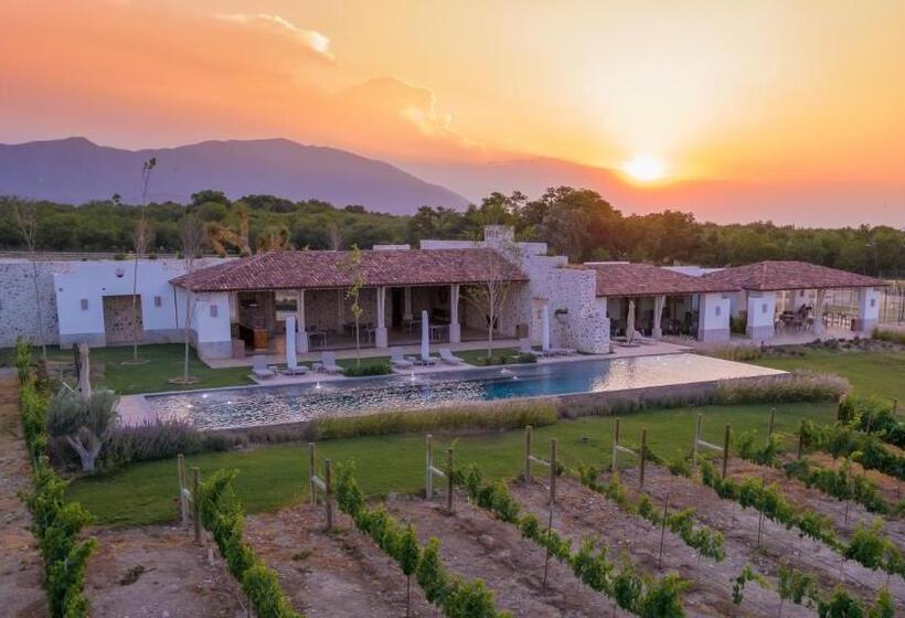 هتل Vinícola Parvada By Lumina