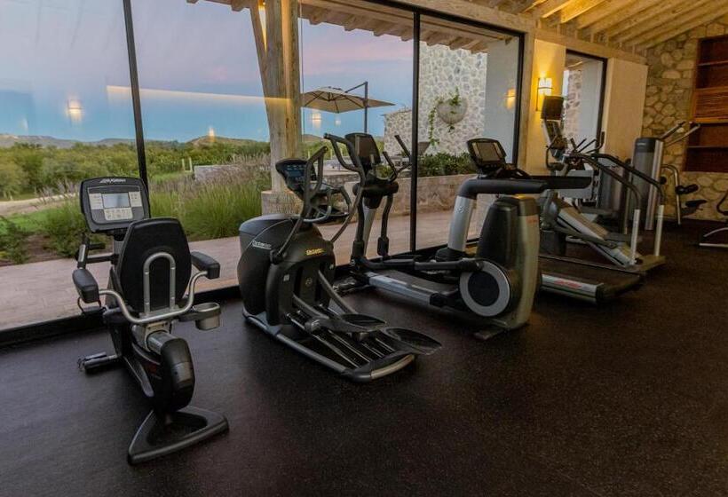 هتل Vinícola Parvada By Lumina