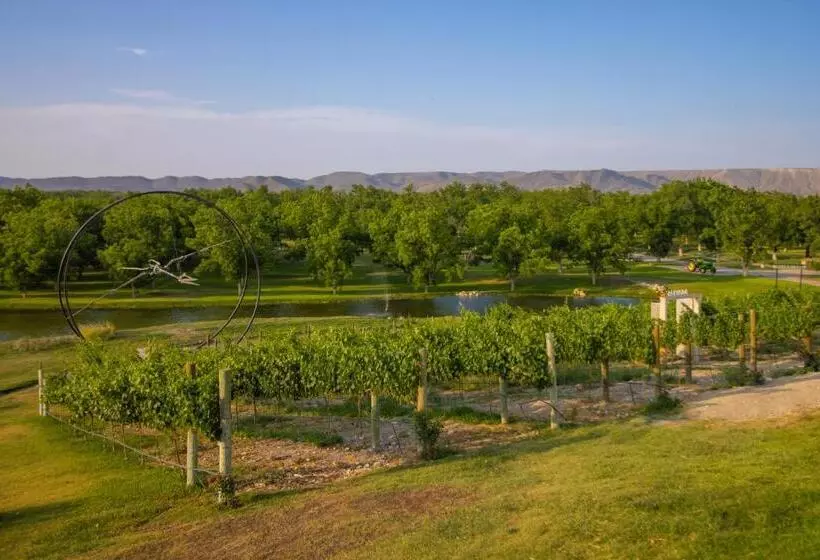 Hotelli Vinícola Parvada By Lumina