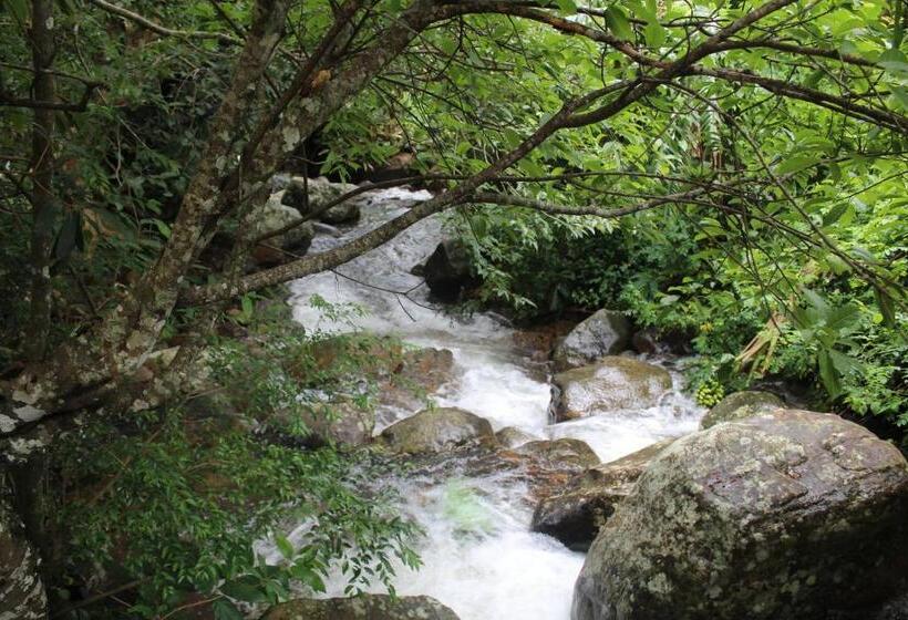 בית מלון כפרי World S End Base Eco Village