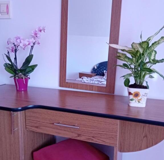 پانسیون Casa Dănuț