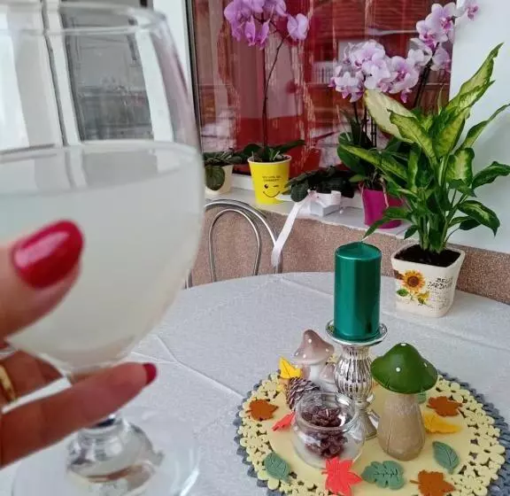 Majatalo Casa Dănuț