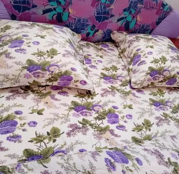 Majatalo Casa Dănuț