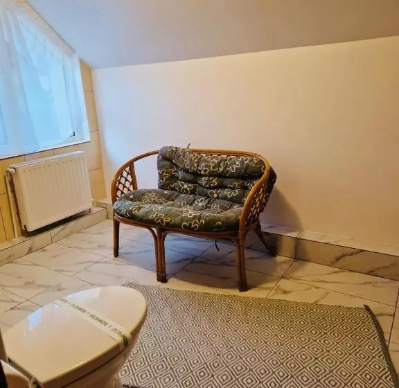 ペンション Casa Pojorâta