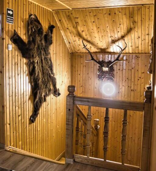 Pensão Casa Pojorâta