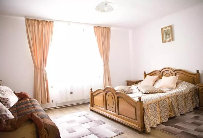 ペンション Casa Pojorâta