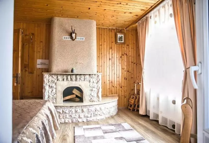ペンション Casa Pojorâta