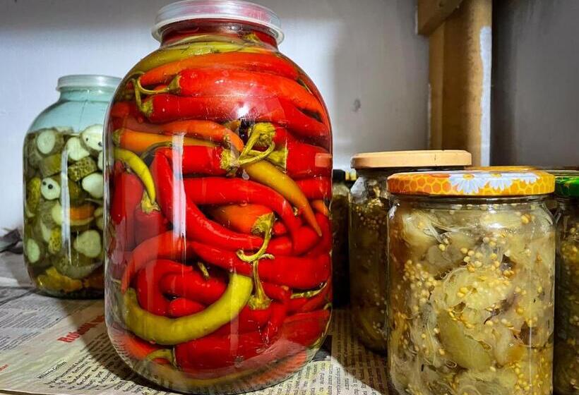 膳宿费 Căsuța Măriuca