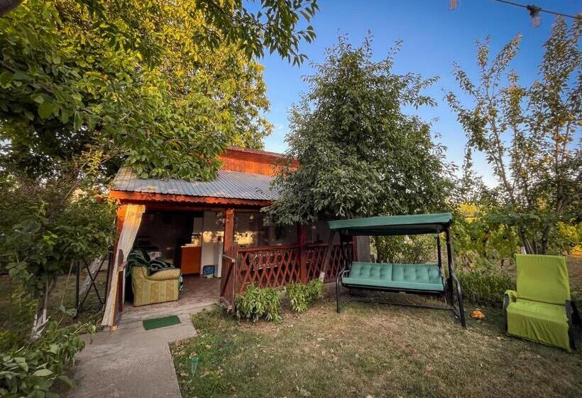 膳宿费 Căsuța Măriuca