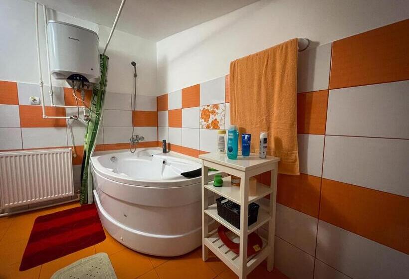 膳宿费 Căsuța Măriuca