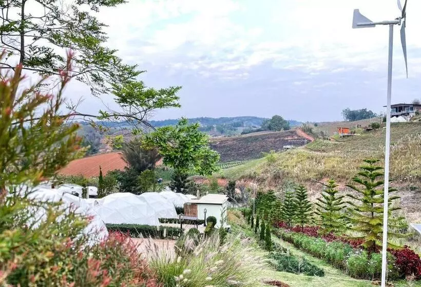 Lomakeskus Flora Fresh Garden At Khaokho