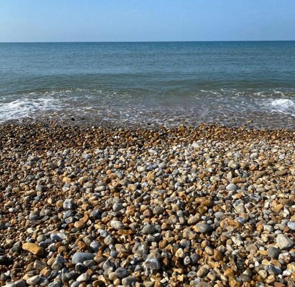 리조트 Seal Bay, West Sands