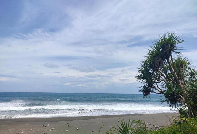 בית מלון כפרי Kirai House Pantai Madasari Beach Front View