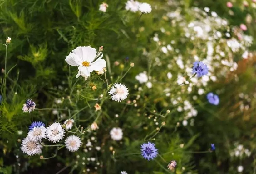 Hotelli Pihlasresort