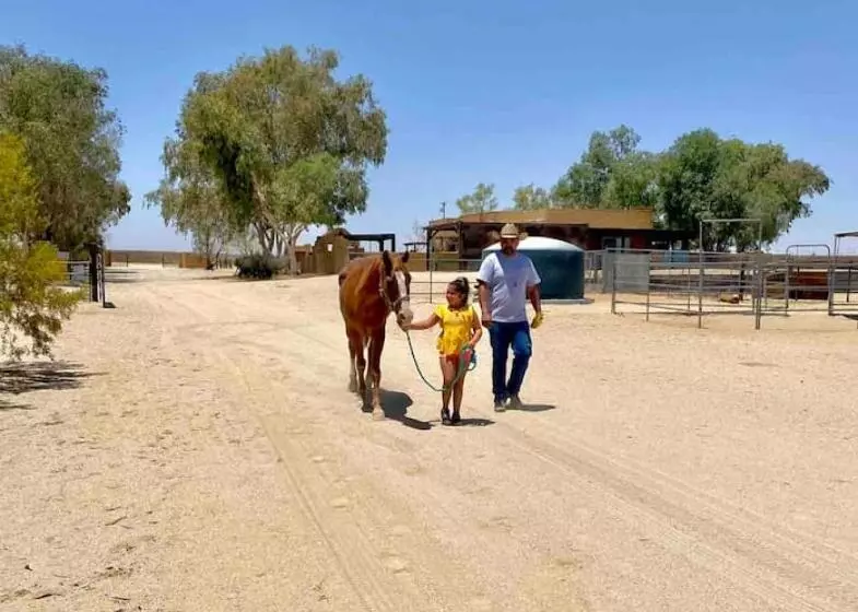 ホテル Your Own Private Ranch In The Desert With Horses And Acres Of Property