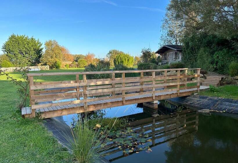 بنسيون Domaine De L O