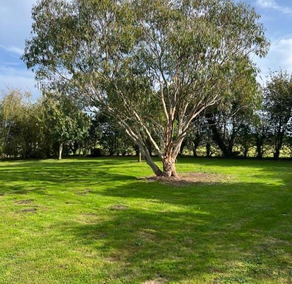 بنسيون Domaine De L O