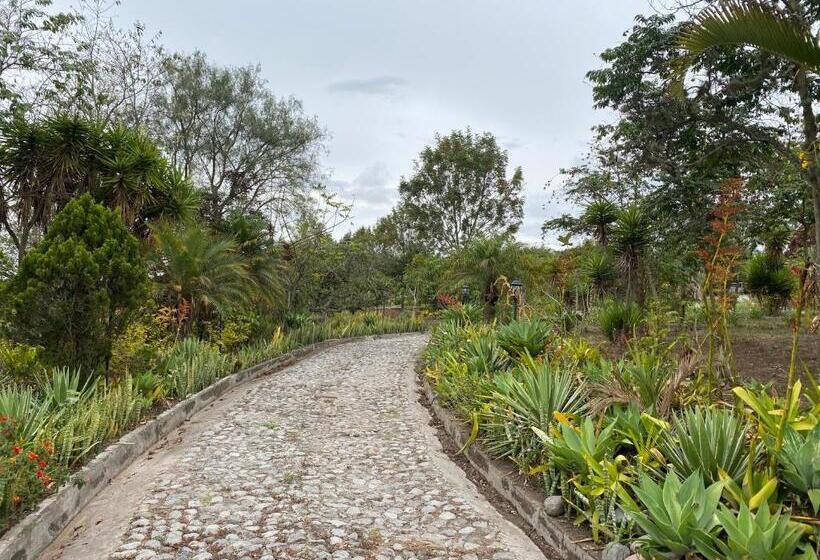 Pensionat Quinta Paolita   Habitación Doble