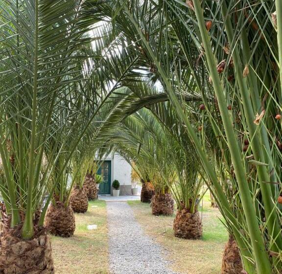 Pensionat Quinta Paolita   Habitación Doble