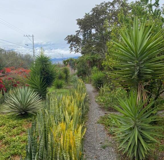 Pensionat Quinta Paolita   Habitación Doble