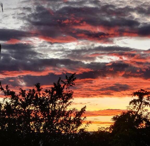 Pensionat Quinta Paolita   Habitación Doble