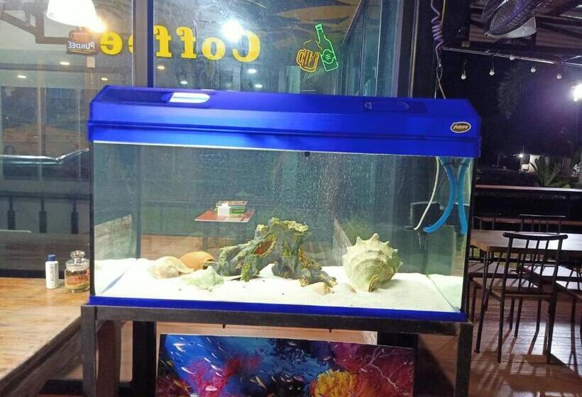 אתר נופש เกาะช้างรักดี รีสอร์ท