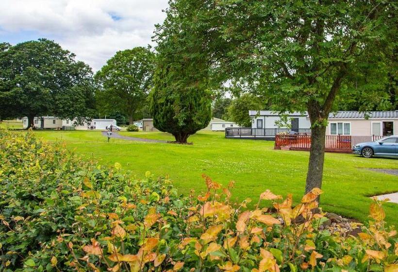 אתר נופש Springwood Holiday Park