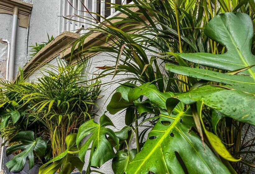 Sr Luis Hotel Boutique   Zona Héroes   Recepción Digital 24h