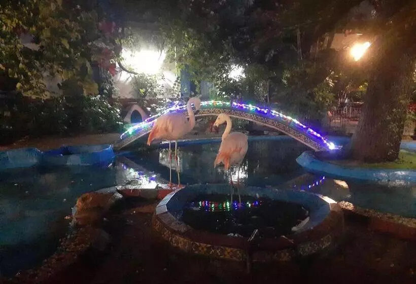 ユースホステル La Posada Del Sol