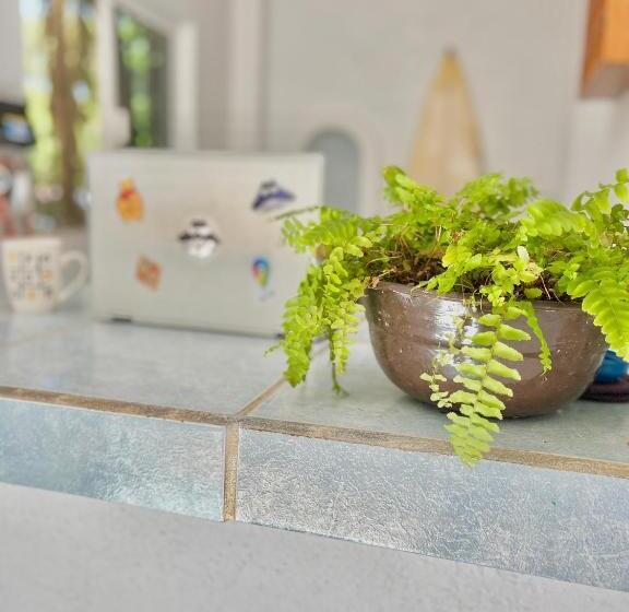 הוסטל Single Fin Suites & Rooms La Punta Zicatela