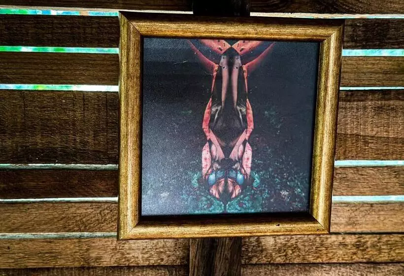 ベッドアンドブレックファースト Casa Corazon