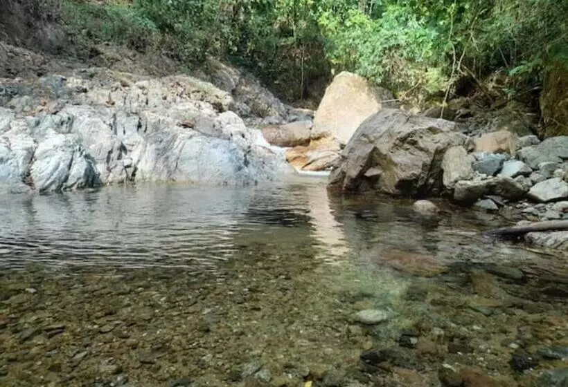 ホテル Finca Vista Hermosa   Deluxe Bamboo Cabana