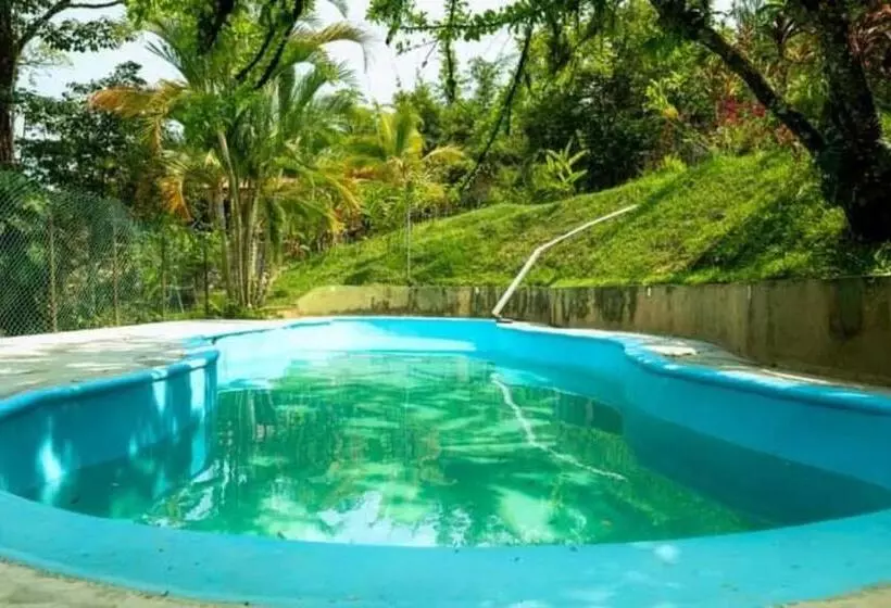 ホテル Finca Vista Hermosa   Deluxe Bamboo Cabana