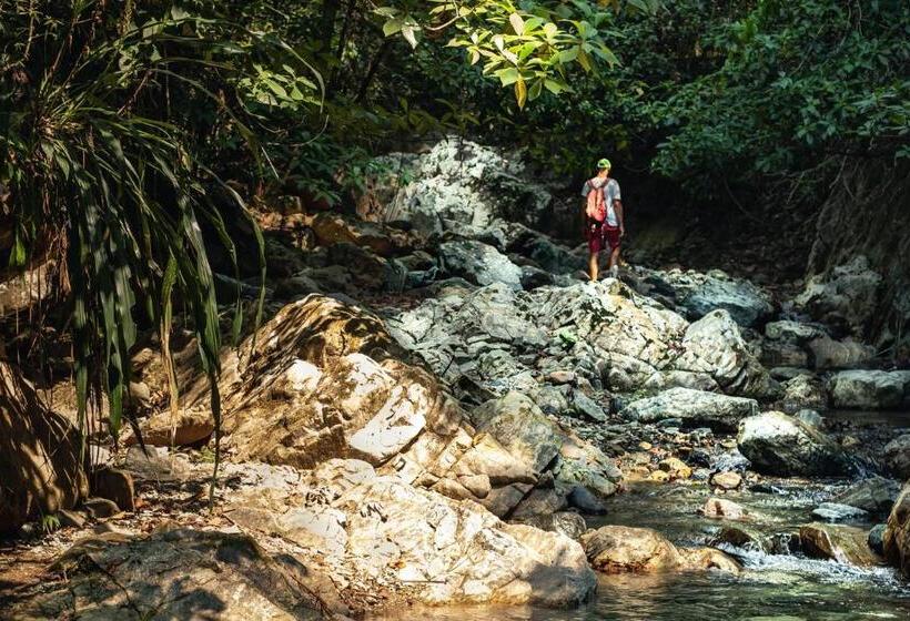 酒店 Finca Vista Hermosa Deluxe Bamboo Cabana