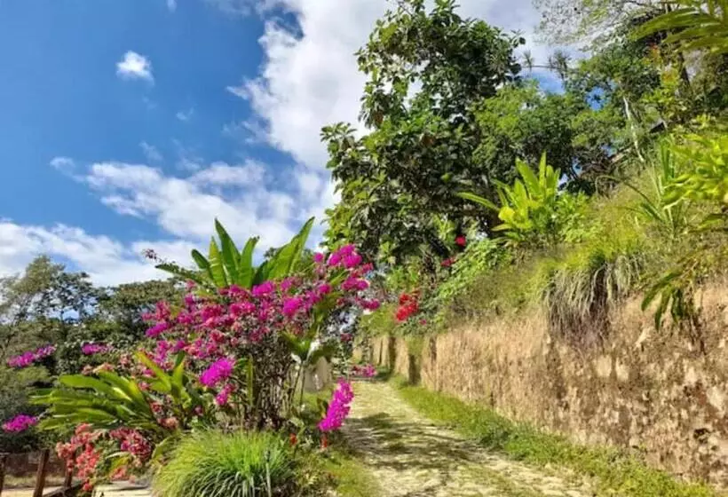 ホテル Finca Vista Hermosa   Deluxe Bamboo Cabana