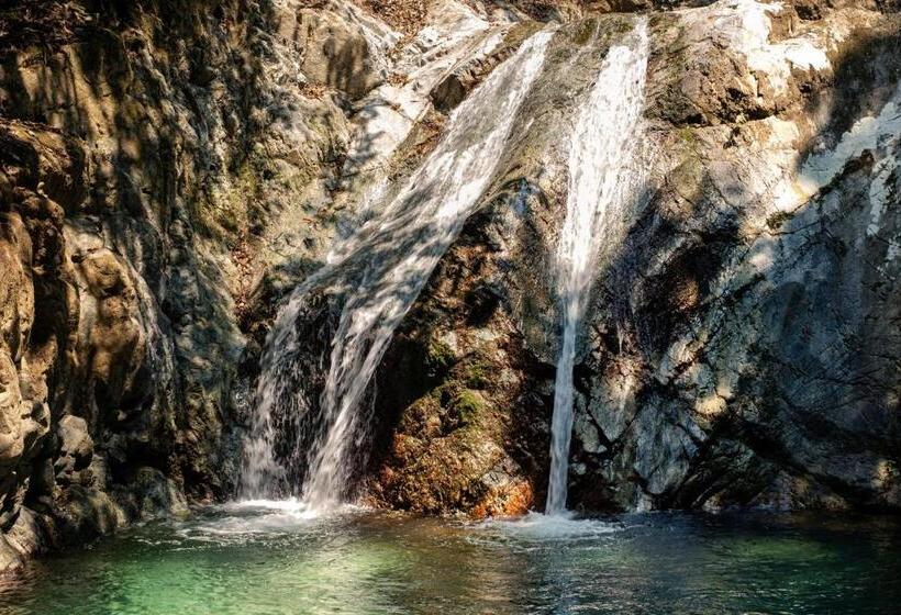 酒店 Finca Vista Hermosa Deluxe Bamboo Cabana