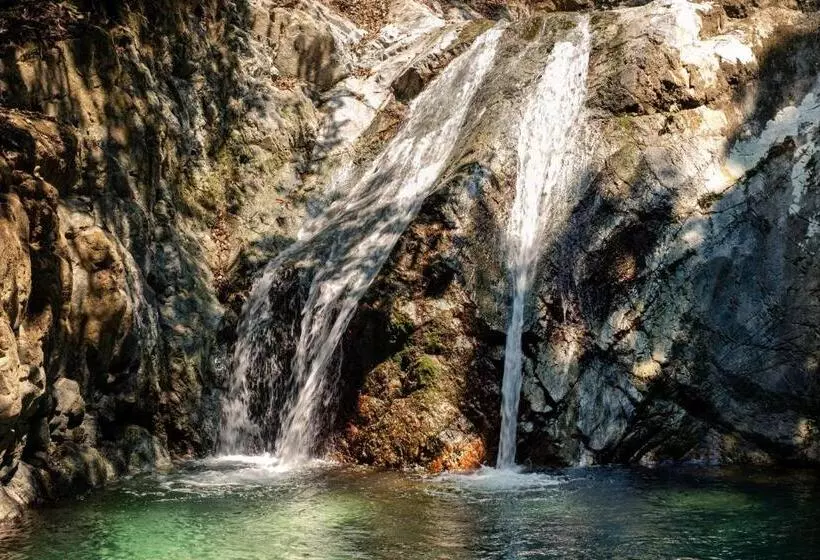 ホテル Finca Vista Hermosa   Deluxe Bamboo Cabana