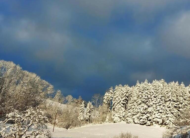 Отель Le Gîte De La Bergerie Des Chalots