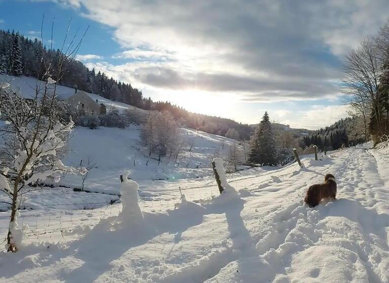 Отель Le Gîte De La Bergerie Des Chalots