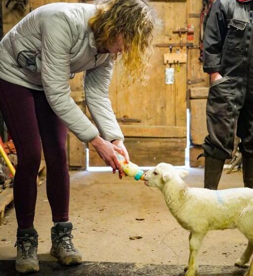 Отель Le Gîte De La Bergerie Des Chalots