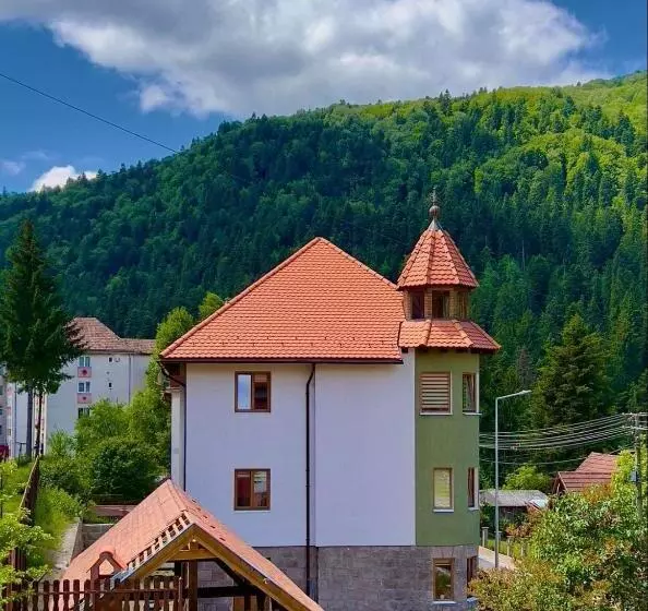 Hotelli Pensiunea Violin Panzió