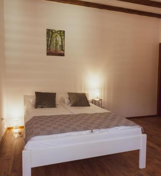 هتل Pensiunea Violin Panzió