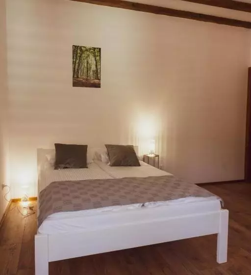 Hotelli Pensiunea Violin Panzió