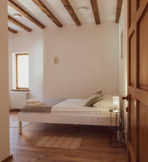 هتل Pensiunea Violin Panzió