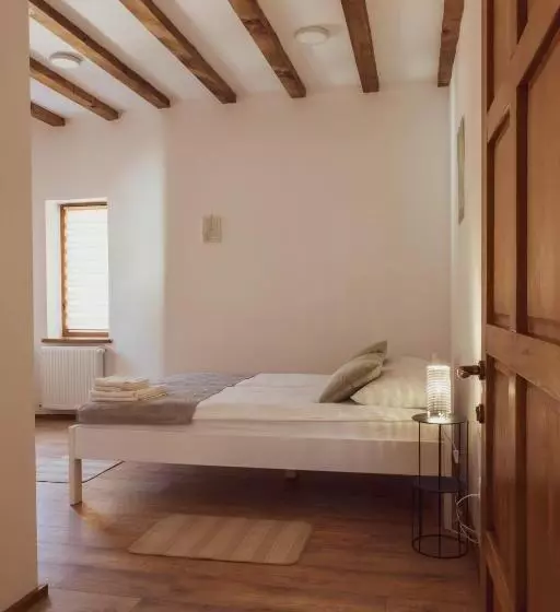 Hotelli Pensiunea Violin Panzió