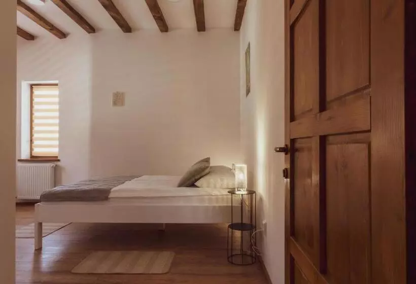 Hotelli Pensiunea Violin Panzió