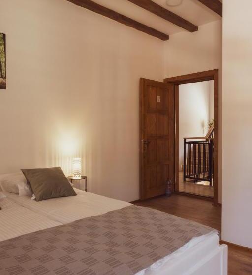 هتل Pensiunea Violin Panzió